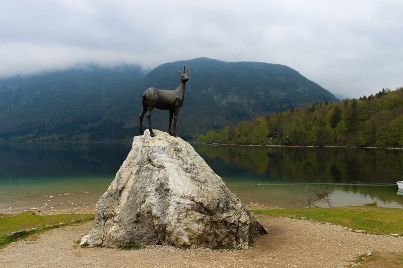 bohinj