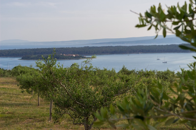 Falkensteiner Hotel Park Punat